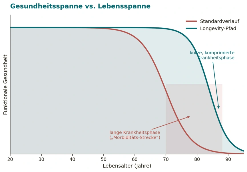Originalgrafik aus Buchseite 26: Gesundheitsspanne und Lebensspanne im schematischen Vergleich.